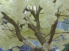 -艾薯夫妇Aysh(福田星河COCOPark店)
