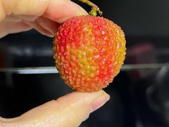 -鲜力达果品批发直销(青山店)