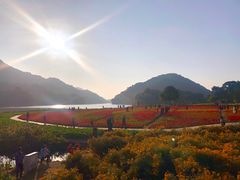 -广州市石门国家森林公园