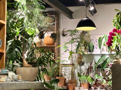 -自由生长植物工作室(深港花卉中心店)