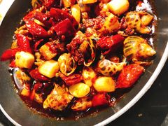 麻辣福建花螺（份）-日进一片海.生腌海鲜火锅.宵夜烧烤(三里屯总店)