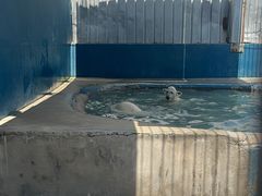 -泉城欧乐堡海洋极地世界