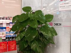 -中国工商银行(重庆巴南支行营业部)