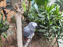 -南宫五洲植物乐园