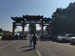 -大芦花风景区