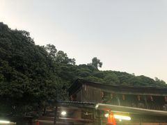 -鲤鱼塘农家山庄