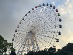 -温州乐园