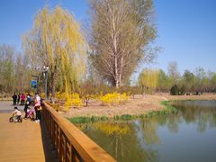 -东郊湿地公园