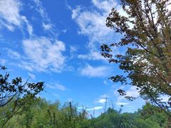 -贵阳市花溪国家城市湿地公园