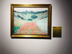 -印象莫奈时光映迹艺术展