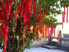 -宝通禅寺