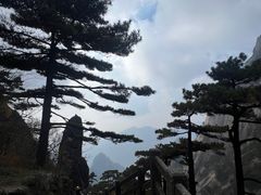 -黄山风景区