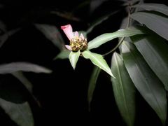 -华南国家植物园-售票处