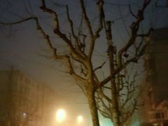 -维吾尔餐厅(宜山路店)