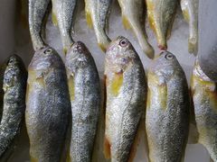 -七裕庄(凯旋南路店)