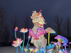 -武汉园博园(武汉自然博物馆)
