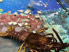 -四海之家(蛇口店)