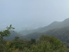 -阳台山自然风景区
