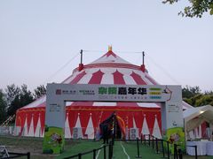 -大望京公园