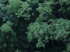 -岳麓书院