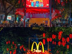 -越秀西湖花市(广州城市广场花卉店)