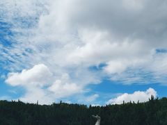 -上海市龙华烈士陵园