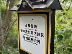 -西双版纳原始森林公园