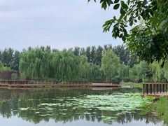 -东郊湿地公园