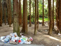 -武陵山森林公园