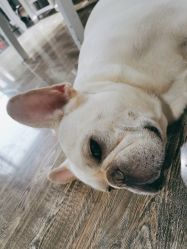 点击看大图 -IDEA·艾蒂尔科技美肤·日式美甲美睫集合店