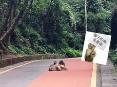 -黔灵山公园