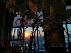 -唐阁海景中餐厅·早茶·粤菜•生日聚餐(海口朗廷酒店)