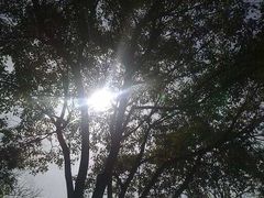 -上海市公安局交通警察总队车辆管理所三分所