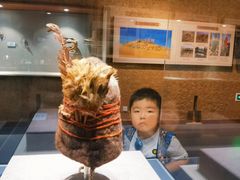 -巴音郭楞蒙古自治州博物馆