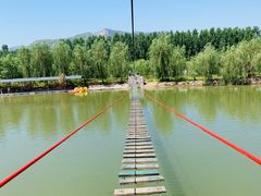 -东方巨龟苑景区