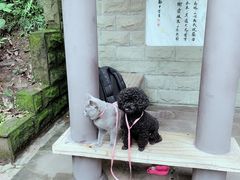 -老基地老火锅厂(大渡口店)