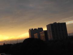 -上海第二工业大学(金海路校区)