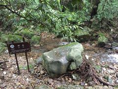 -九华秋浦胜境大王洞风景区