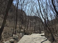 -大岭沟猕猴桃谷风景区