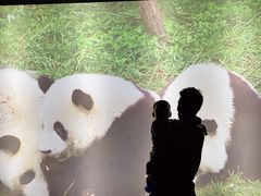 -西安秦岭野生动物园