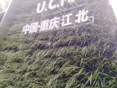 -重庆市江北嘴中央商务区中央公园