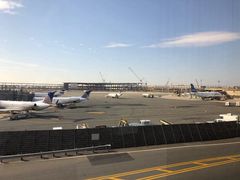 -纽瓦克自由国际机场