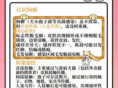 -福懋动物医院·犬猫全科·外科·重症科(杏林分院)