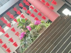 -威海天沐温泉度假区
