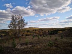 -塞罕坝国家级自然保护区