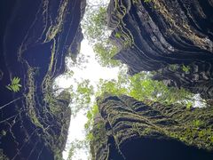 -梭布垭石林景区