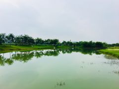 -金谷域澳洲庄园