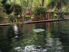 -金穗园温泉酒店