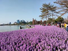 -顺峰山公园