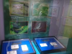 -上海昆虫博物馆